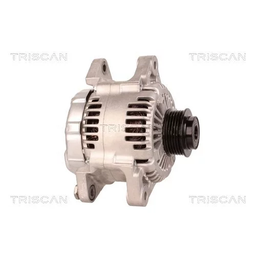 Alternátor 8310 80006 /TRISCAN/ - obr. 3