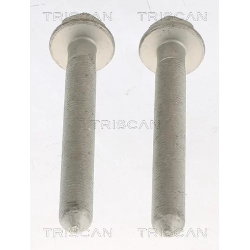 Sada na opravu zavesenia kolesa TRISCAN 8500 29431