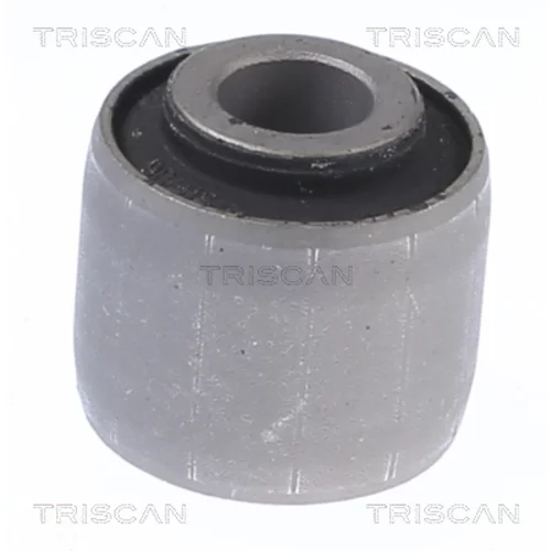 Zvislý/nosný čap TRISCAN 8500 43853