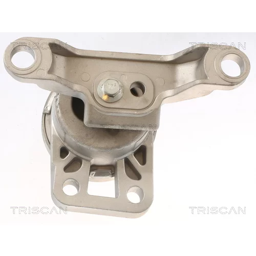 Uloženie motora 8505 10108 /TRISCAN/ - obr. 1