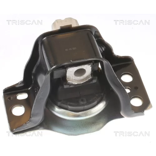 Uloženie motora TRISCAN 8505 25102