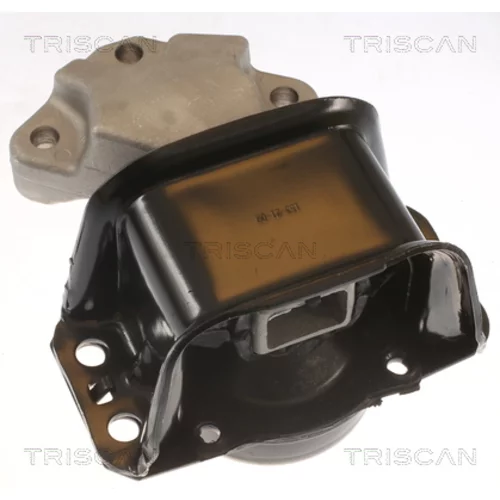 Uloženie motora TRISCAN 8505 28100