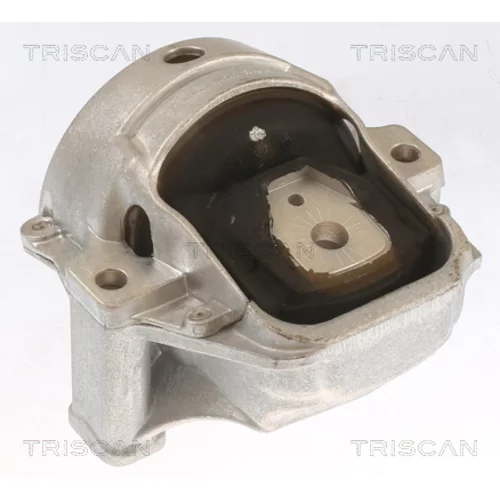 Uloženie motora TRISCAN 8505 29155