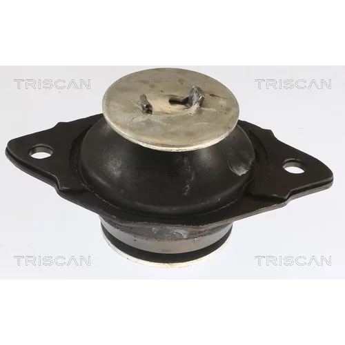 Uloženie motora TRISCAN 8505 29161