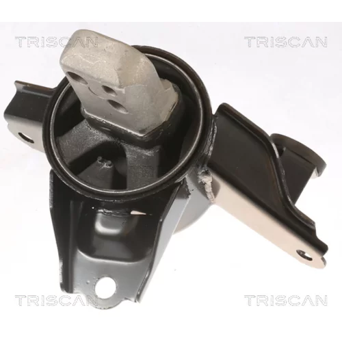 Uloženie motora TRISCAN 8505 43108