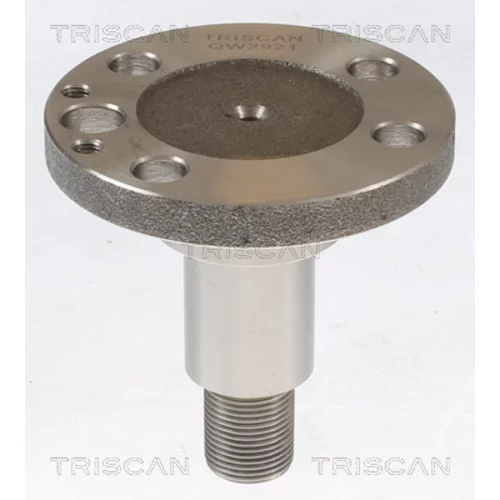 Náboj kolesa 8535 29013 /TRISCAN/ - obr. 1