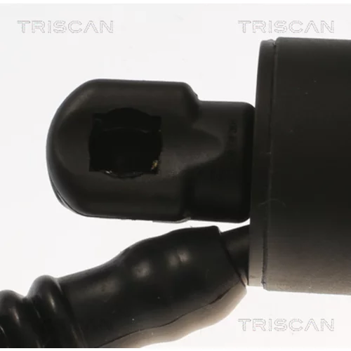 Pneumatická pružina, Batožinový/nákladný priestor 8710 11308 /TRISCAN/ - obr. 1