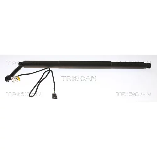 Pneumatická pružina, Batožinový/nákladný priestor TRISCAN 8710 11311
