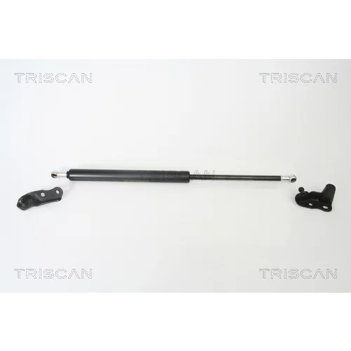 Pneumatická pružina, Batožinový/nákladný priestor TRISCAN 8710 13265