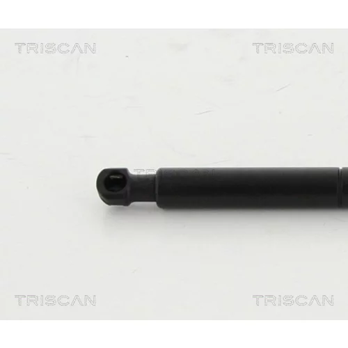 Pneumatická pružina, Batožinový/nákladný priestor 8710 16256 /TRISCAN/ - obr. 1