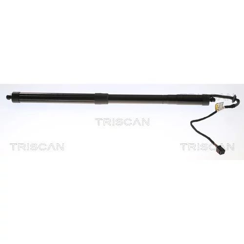 Pneumatická pružina, Batožinový/nákladný priestor TRISCAN 8710 17301