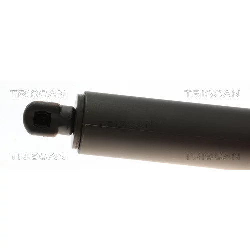 Pneumatická pružina, Batožinový/nákladný priestor 8710 24304 /TRISCAN/ - obr. 1