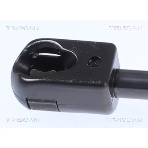 Pneumatická pružina, Batožinový/nákladný priestor 8710 25242 /TRISCAN/ - obr. 1