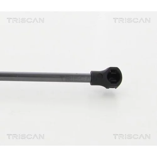Pneumatická pružina, Batožinový/nákladný priestor 8710 25273 /TRISCAN/ - obr. 1