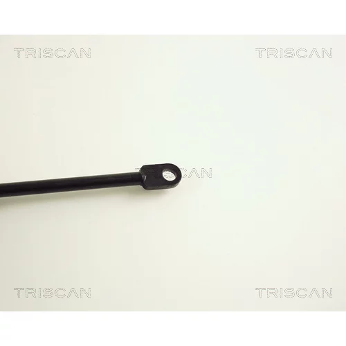 Pneumatická pružina, Batožinový/nákladný priestor 8710 29228 /TRISCAN/ - obr. 2