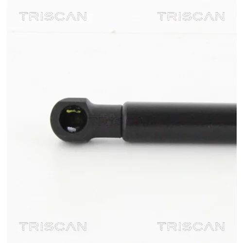 Pneumatická pružina, Batožinový/nákladný priestor 8710 29284 /TRISCAN/ - obr. 2