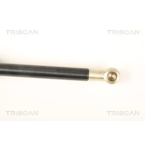 Pneumatická pružina, Batožinový/nákladný priestor 8710 40231 /TRISCAN/ - obr. 2