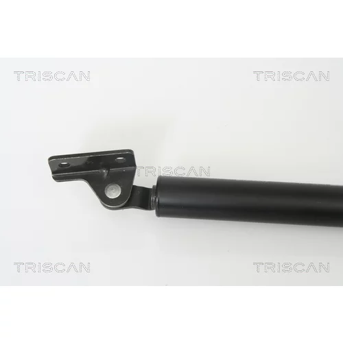 Pneumatická pružina, Batožinový/nákladný priestor 8710 43219 /TRISCAN/ - obr. 1