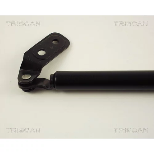 Pneumatická pružina, Batožinový/nákladný priestor 8710 50221 /TRISCAN/ - obr. 1