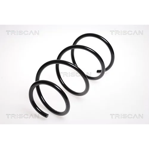Pružina podvozku TRISCAN 8750 13125