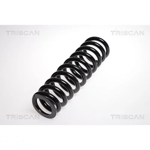 Pružina podvozku TRISCAN 8750 23100