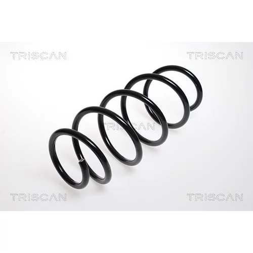 Pružina podvozku TRISCAN 8750 24070