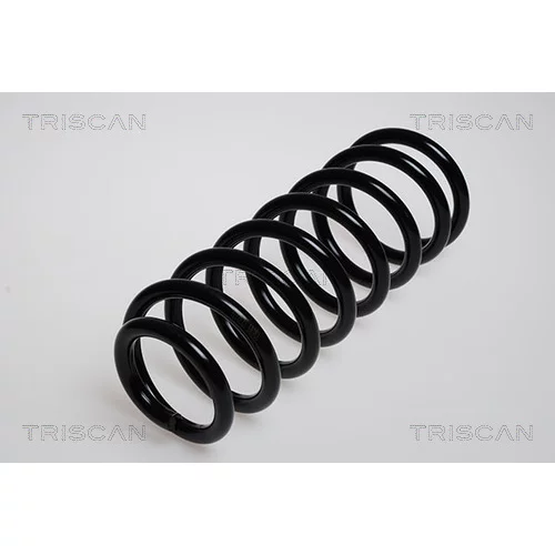 Pružina podvozku TRISCAN 8750 2979