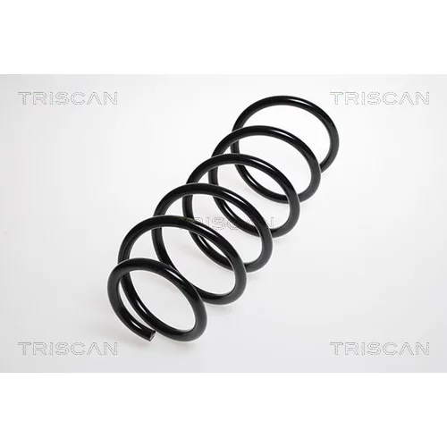 Pružina podvozku TRISCAN 8750 4247