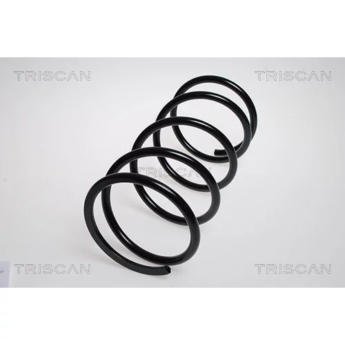 Pružina podvozku TRISCAN 8750 4262
