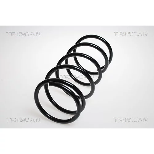 Pružina podvozku TRISCAN 8750 4275