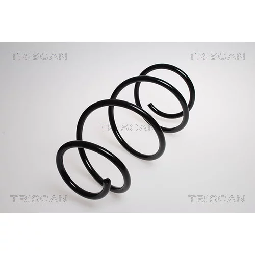 Pružina podvozku TRISCAN 8750 8017