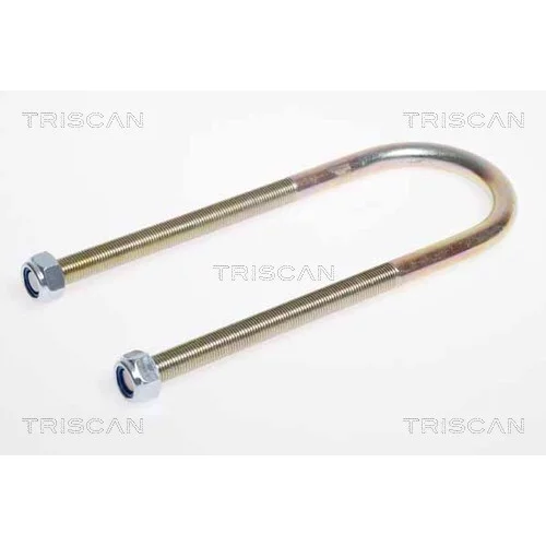 Spona listovej pružiny TRISCAN 8765 100009