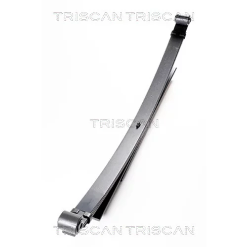 Sada pružín TRISCAN 8765 28001