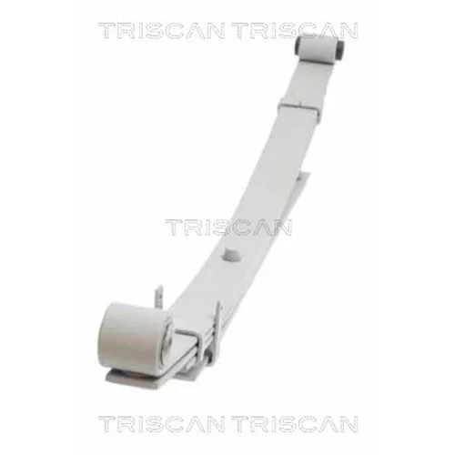 Sada pružín 8765 43004 /TRISCAN/