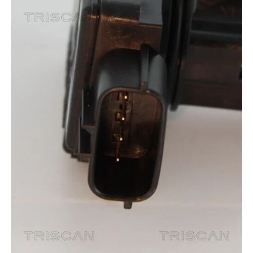 Merač hmotnosti vzduchu 8812 69001 /TRISCAN/ - obr. 1