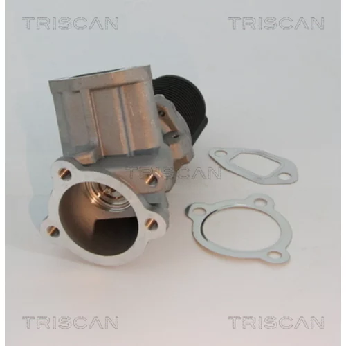 EGR ventil 8813 10003 /TRISCAN/ - obr. 2