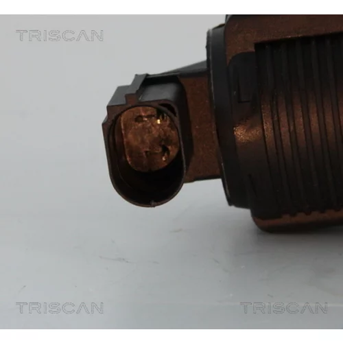 EGR ventil 8813 10005 /TRISCAN/ - obr. 1