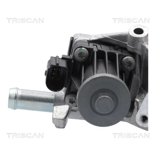 EGR ventil TRISCAN 8813 10118