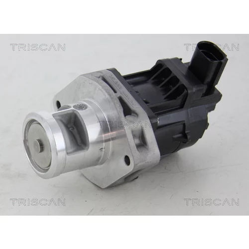 EGR ventil TRISCAN 8813 10214