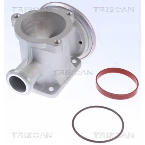 EGR ventil TRISCAN 8813 11105