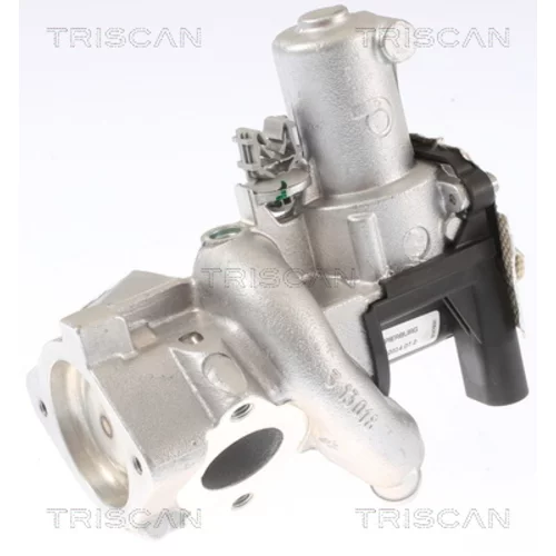 EGR ventil 8813 14006 /TRISCAN/ - obr. 2