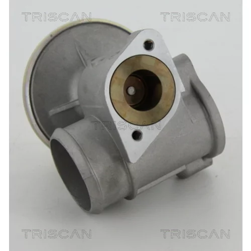 EGR ventil 8813 16010 /TRISCAN/ - obr. 2