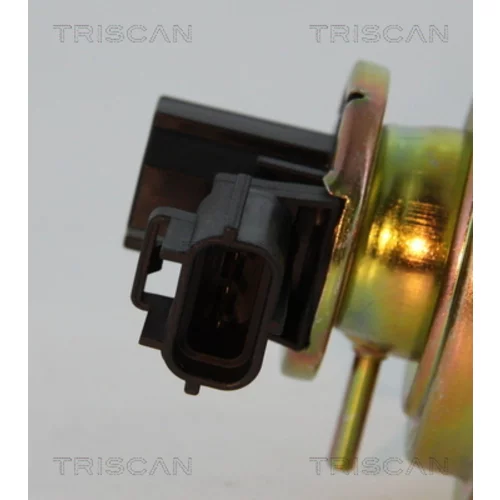 EGR ventil 8813 16030 /TRISCAN/ - obr. 1