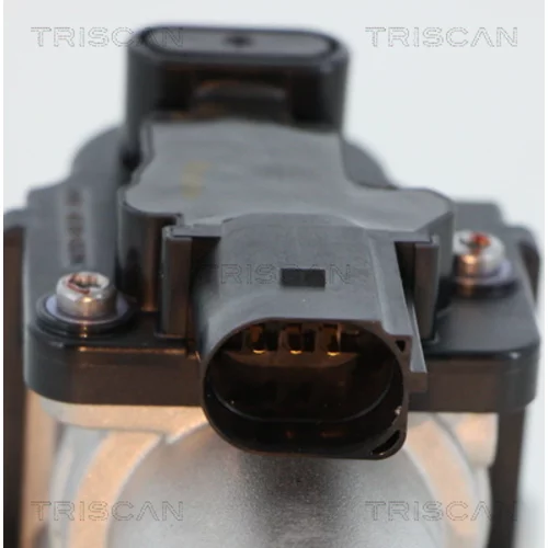 EGR ventil 8813 18045 /TRISCAN/ - obr. 1