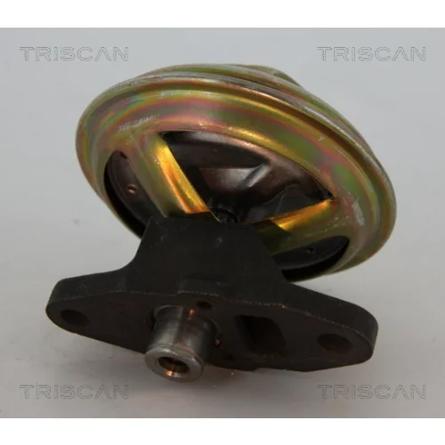 EGR ventil TRISCAN 8813 21009