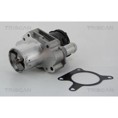 EGR ventil TRISCAN 8813 23031
