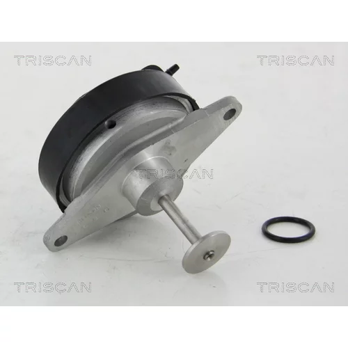 EGR ventil 8813 24208 /TRISCAN/ - obr. 1