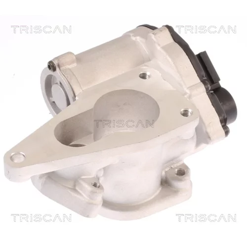 EGR ventil TRISCAN 8813 25012
