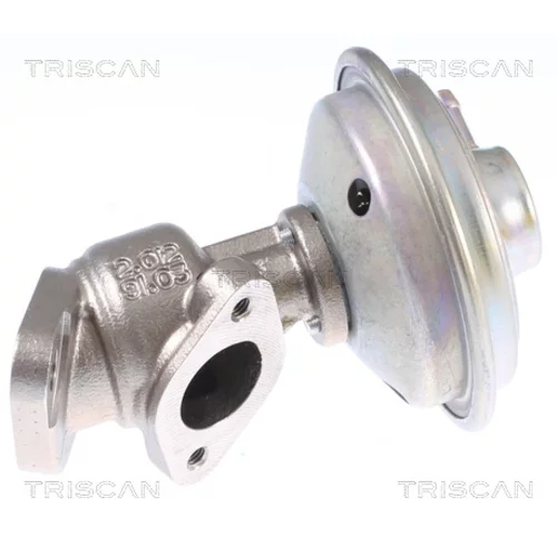 EGR ventil TRISCAN 8813 29340