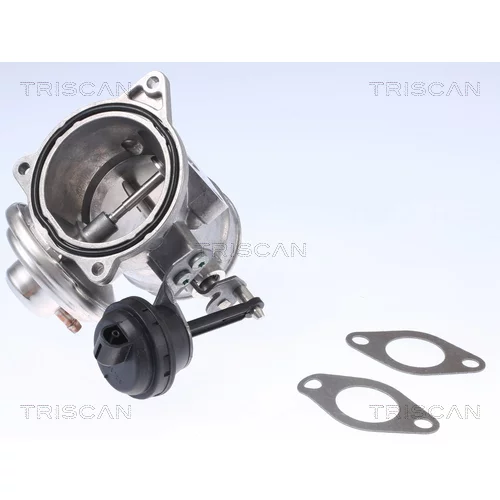EGR ventil 8813 29341 /TRISCAN/ - obr. 1